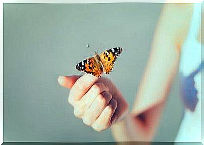 butterfly on hand improves self-esteem