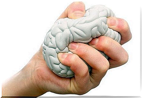 a stress toy that is brain shaped