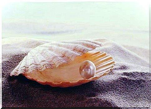 proverbs about love: pearl in a seashell