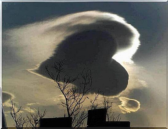 heart-shaped cloud