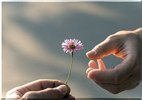 perfect forgiveness and a flower in the other hand