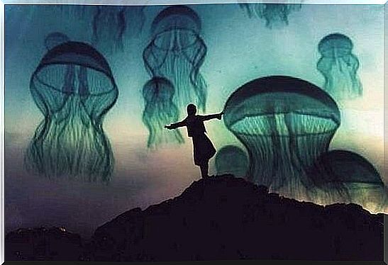 jellyfish in the sky