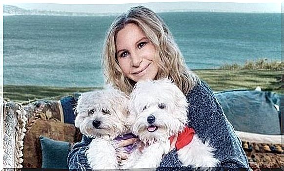 Barbara Streisand with her new dogs