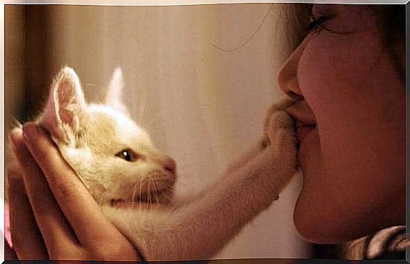 cat and girl playing