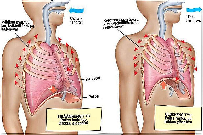 anxiety can cause dizziness, in which case you should breathe properly