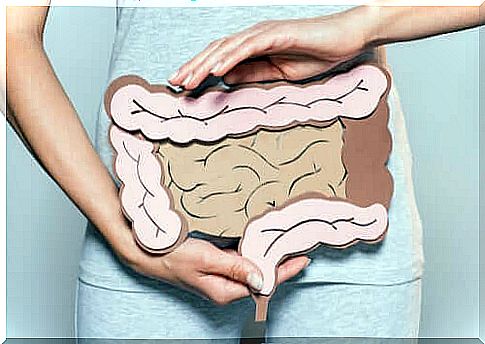 Mental digestion: the key to intestinal problems