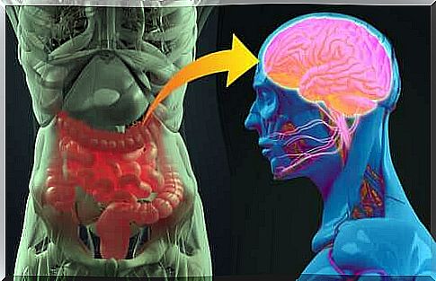 The gut has its own nervous system, but it communicates with the brain through sympathetic and parasympathetic systems