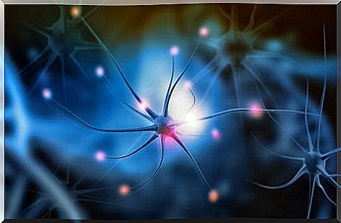 Neurogenesis and its significance