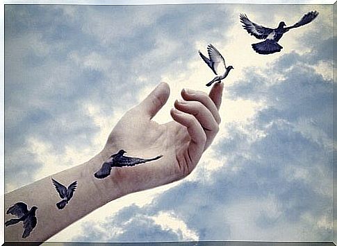 Let go of the birds