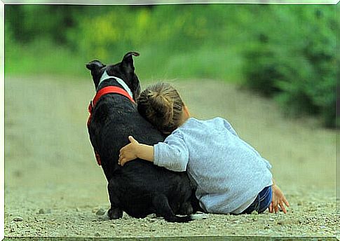 pet dog and girl