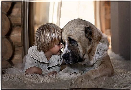 boy and pet